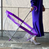 【限定品】FULTON(フルトン)FULTON Birdcage2 Jubilee umbrella ビニール傘