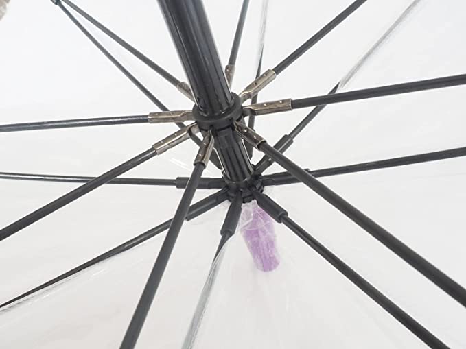 【限定品】FULTON（フルトン）FULTON Birdcage2 Jubilee umbrella ビニール傘