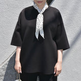 MICALLE MICALLE（ミカーレミカーレ） Rebecca ボンディングプルオーバー Ｎ